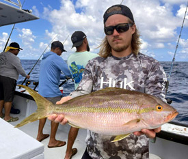 Yellowtail Snapper