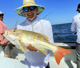 Lane Snapper