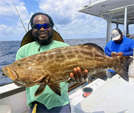 BLACK GROUPER
