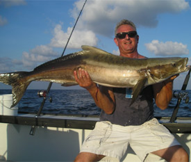 COBIA