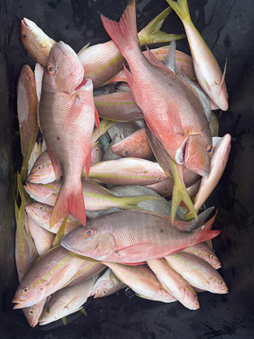 Drift fishing in Jupiter