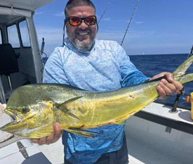 DOLPHIN (MAHI MAHI)